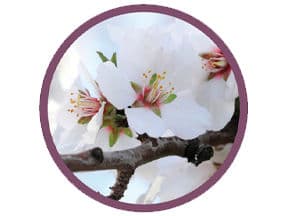 Icon of Luna® Sensation fungicide at Bloom/Petal Fall