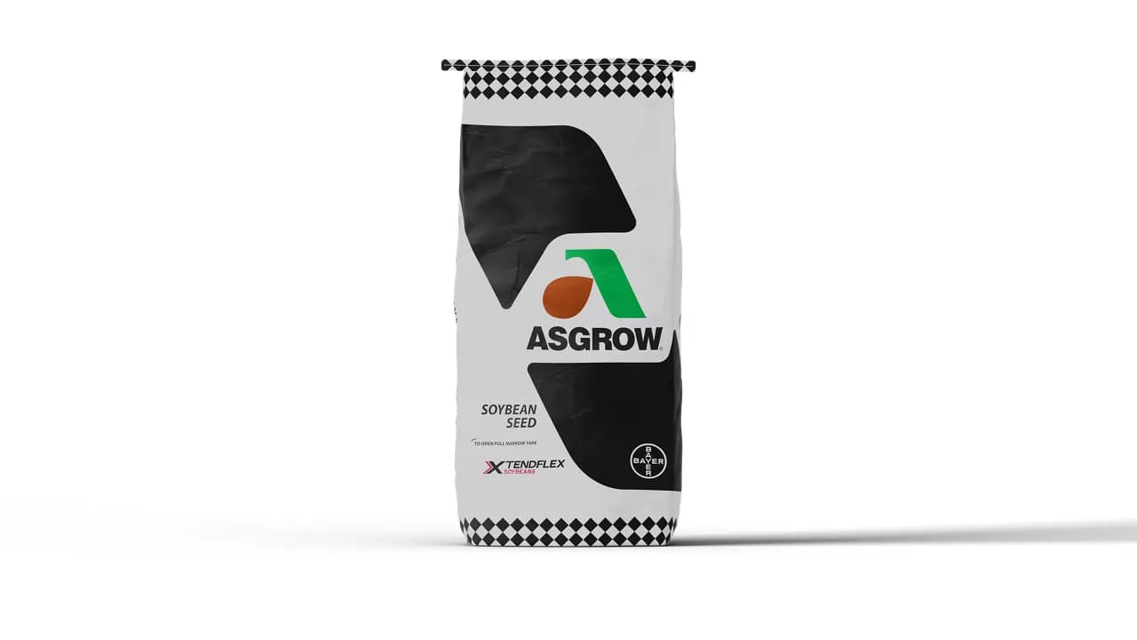 AG38XF3 BRAND NATIONAL | Crop Science US