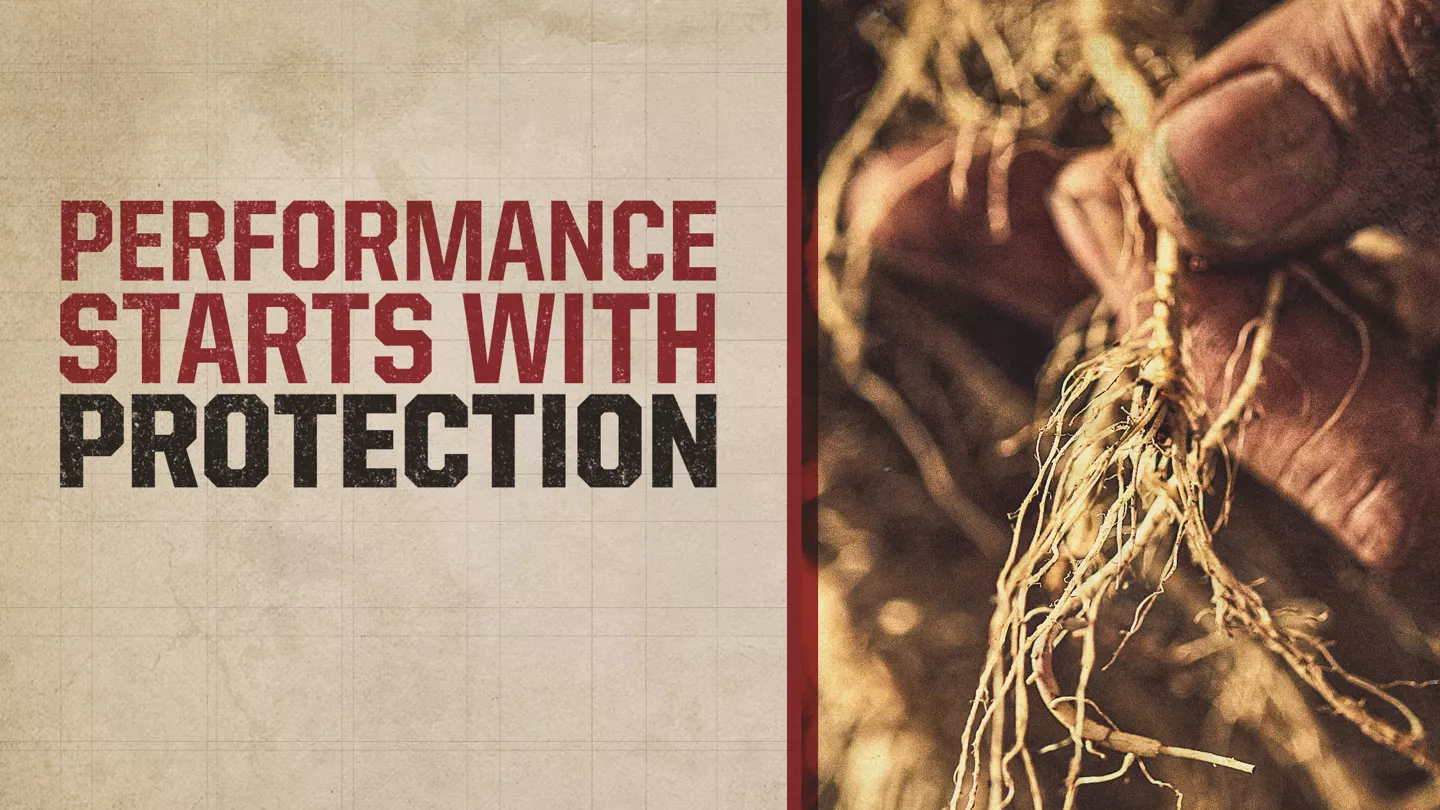 Promo Tools of Performance Starts With Protection, Your Roots and Defense Run Deep.