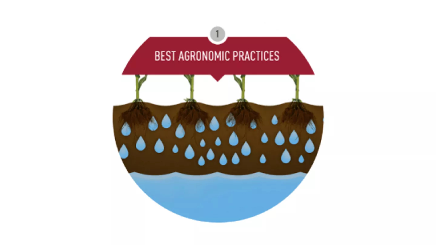 Promo Tools of Best Agronomic Practices