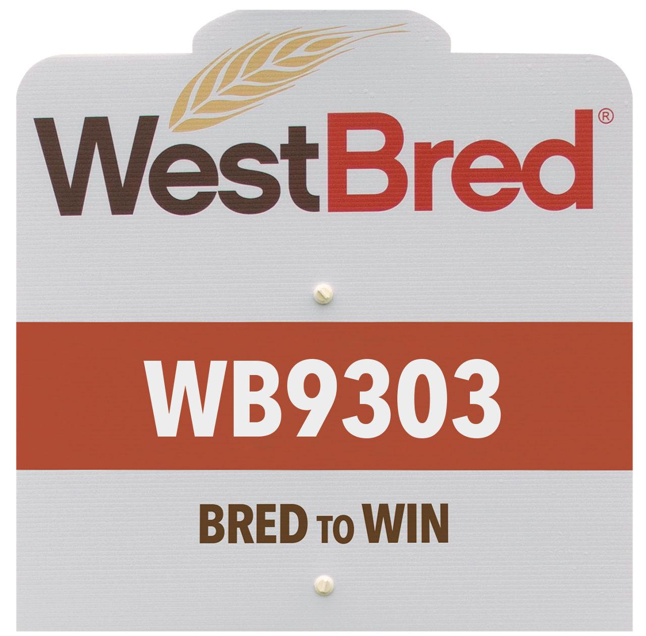 WB9303 westbred