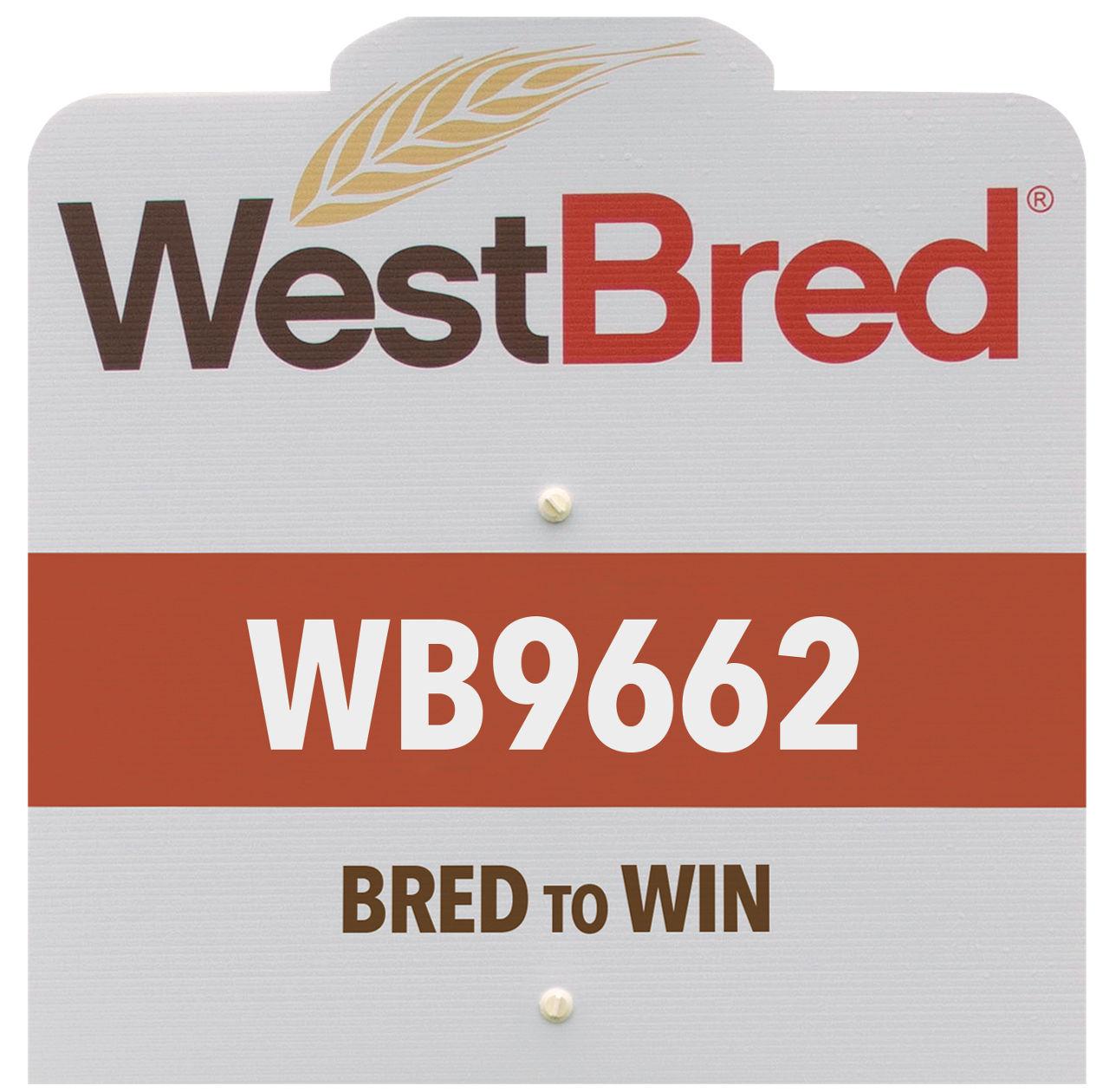 WB9662 westbred