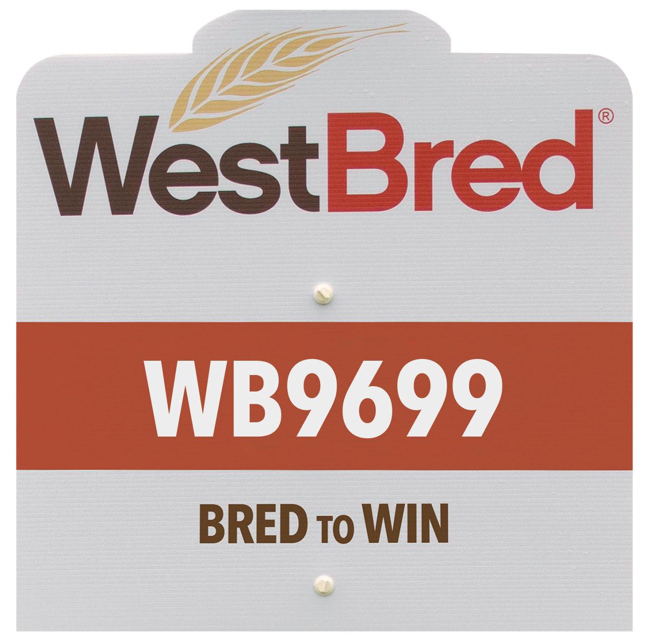 WB9699 westbred