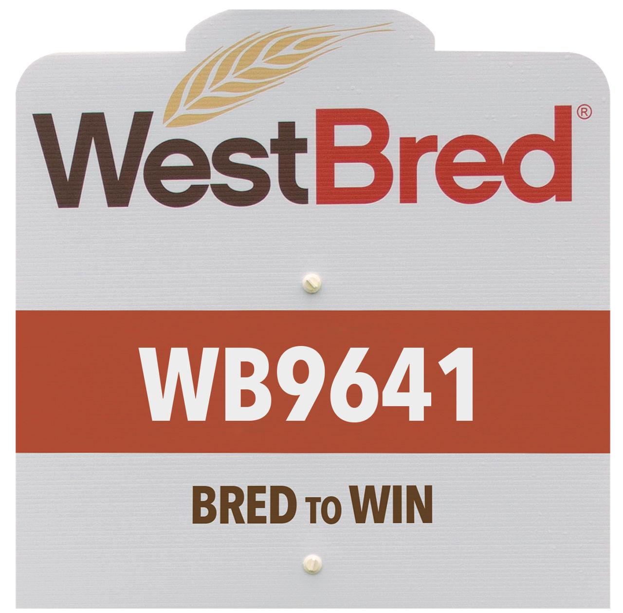 WB9641 westbred
