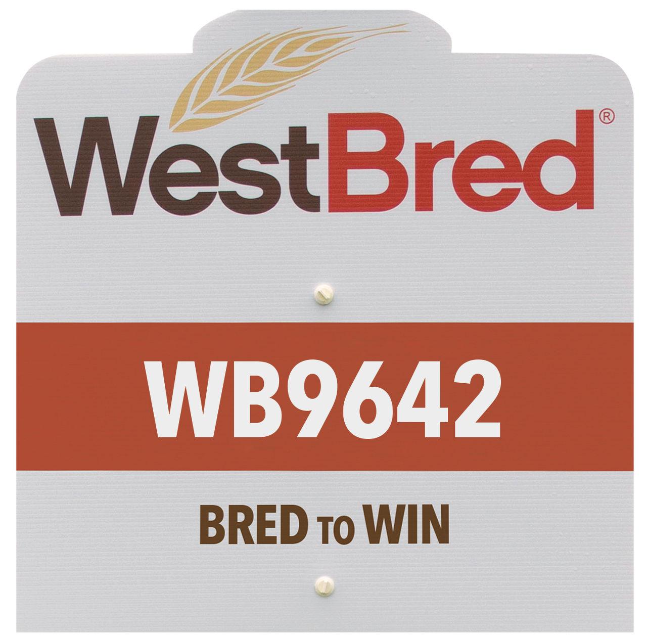 WB9642 westbred