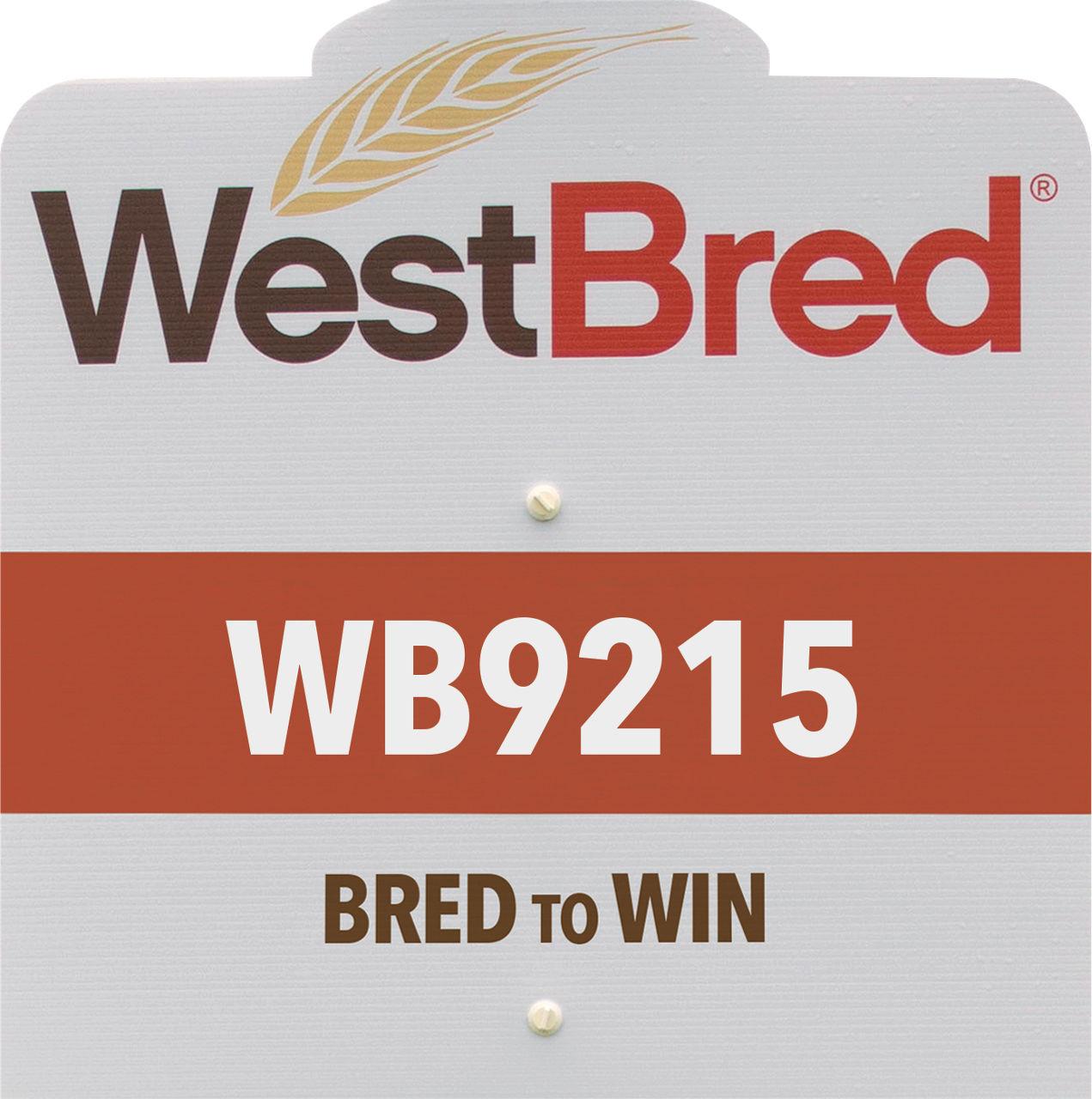 WB9215 westbred