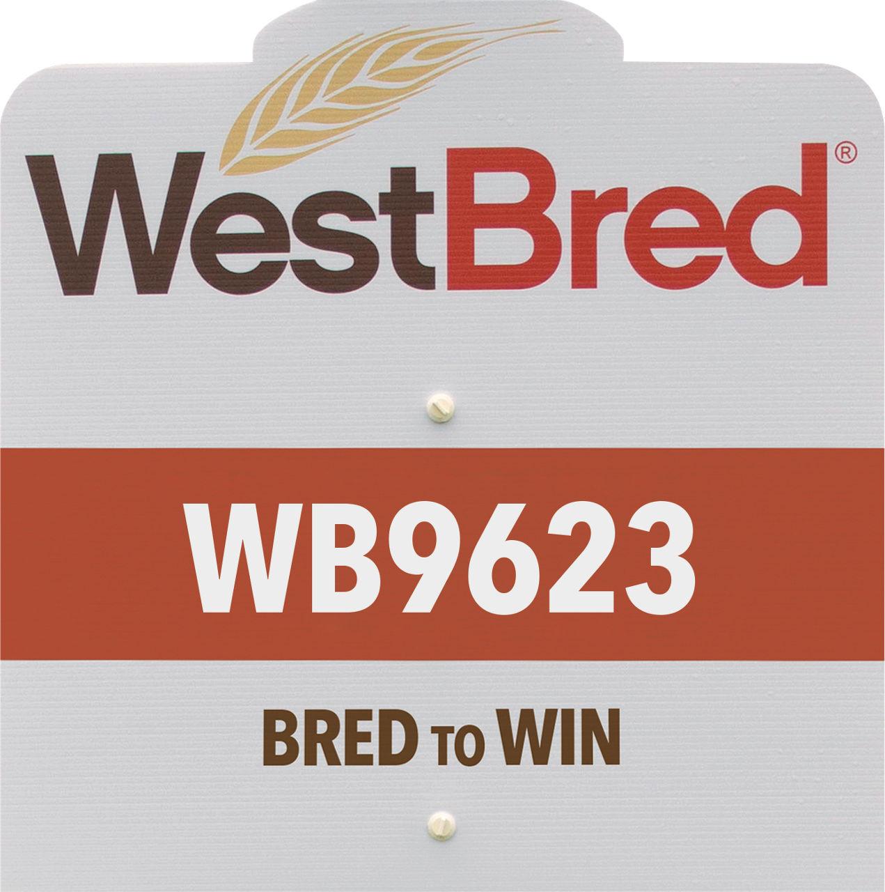WB9623 westbred