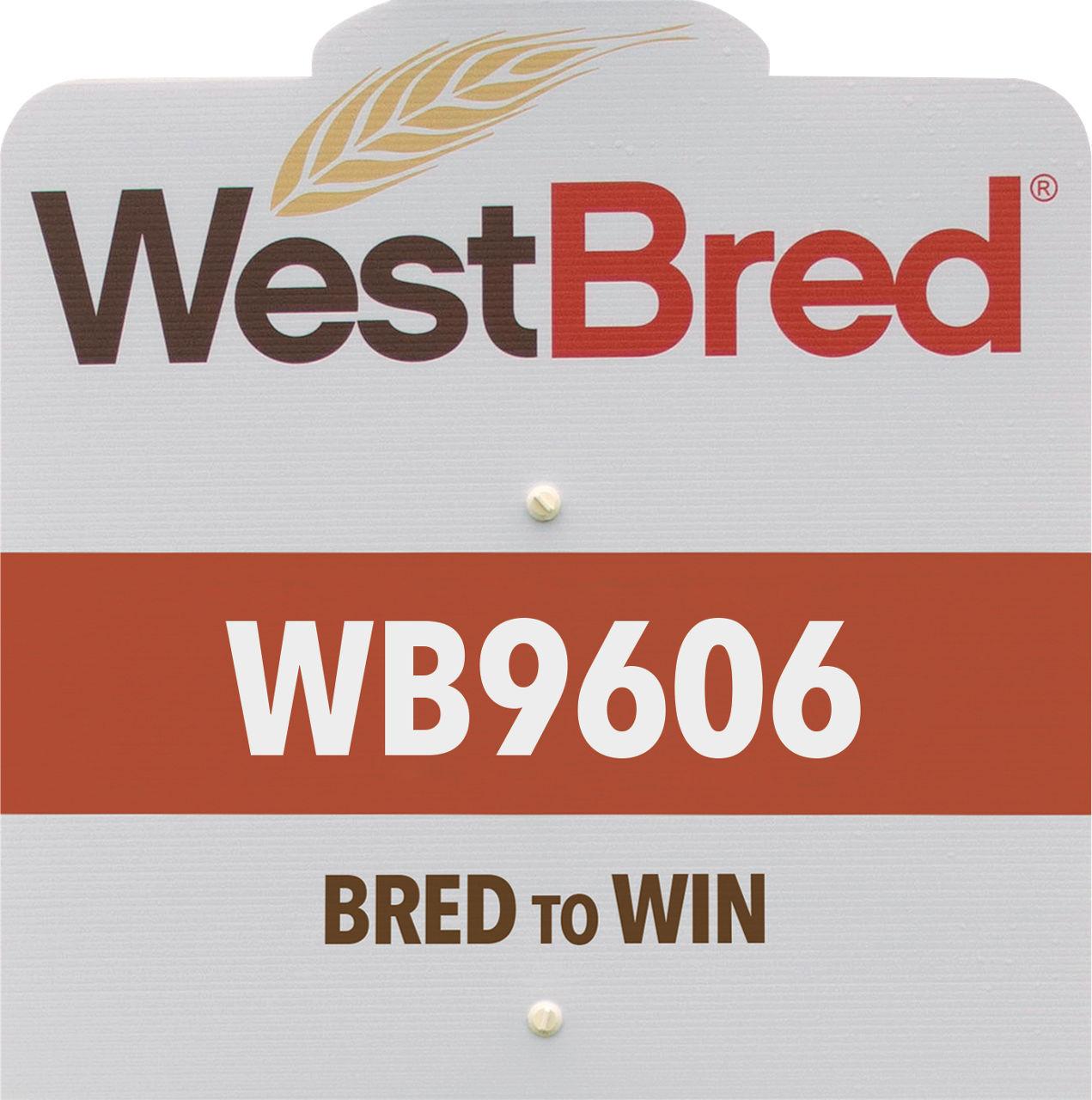 WB9606 westbred