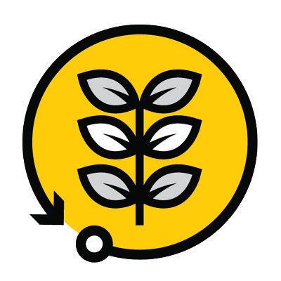 An icon featuring a leafy plant stalk centered in a yellow circle, surrounded by a black circular arrow indicating a cycle or renewal. 
