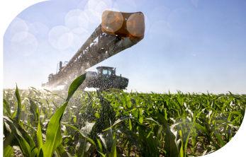 Agricultural sprayer applying herbicide for weed control in a Roundup Ready 2 Corn field.