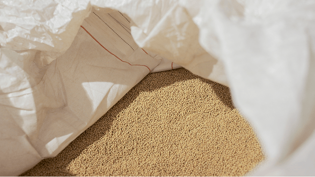 Seed Catalog Banner Image