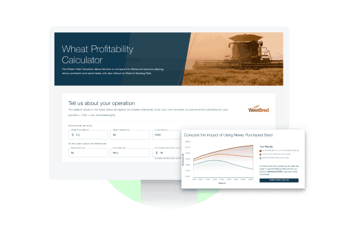 Wheat Profitability Calculator Preview
