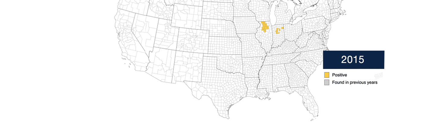 A map of the united states that shows where Tar Spot has been active 