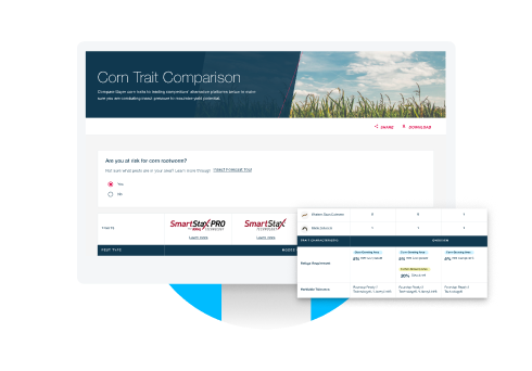 Corn Trait Comparison Preview