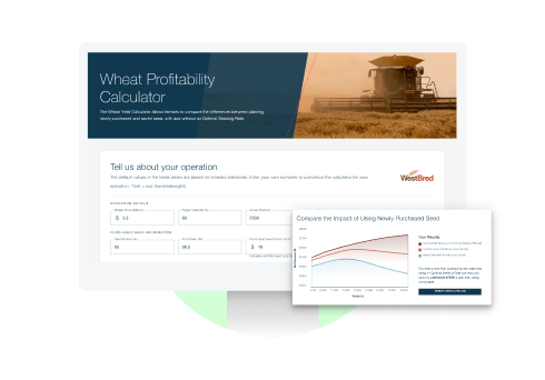 Wheat Profitability Calculator Preview