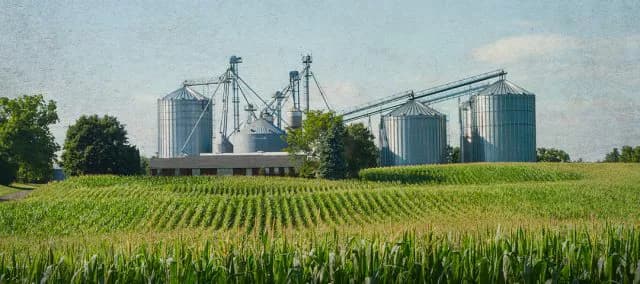 Promo Tools of Interview: Grain Storage Concerns