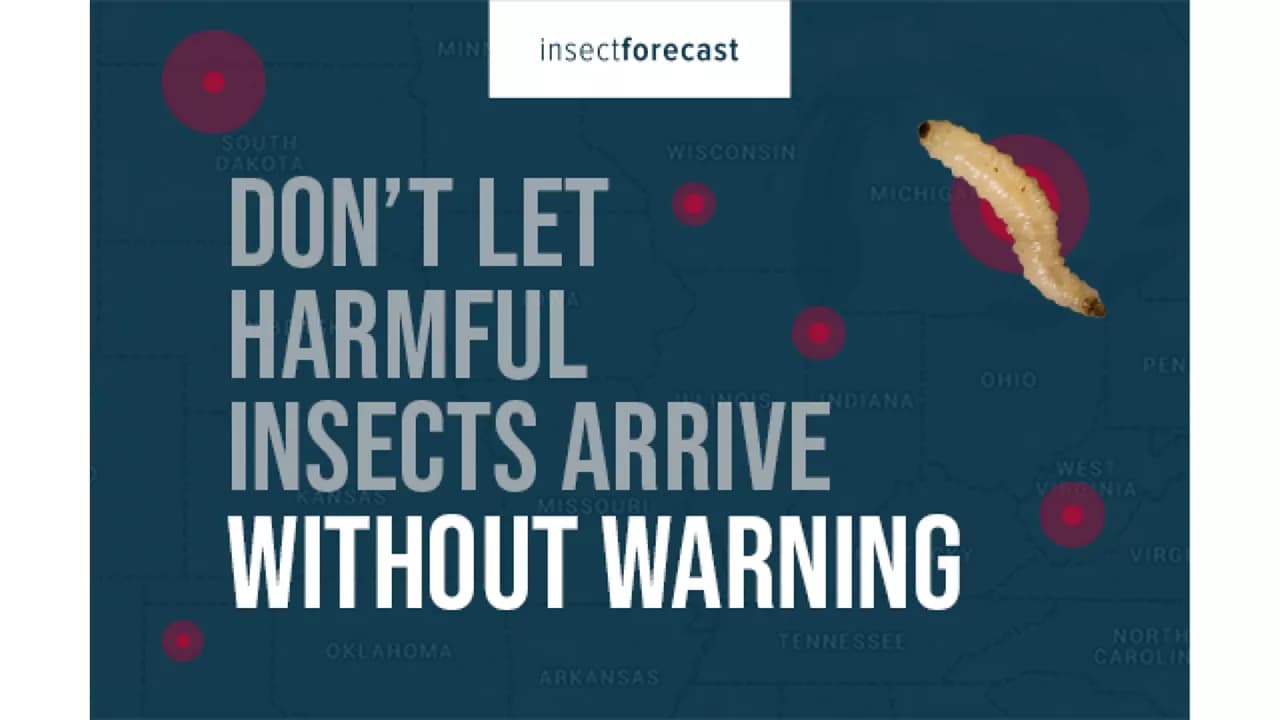 Promo Tools of Check Insect Forecast